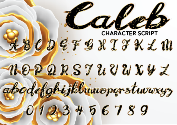 Caleb Font - Preview 2