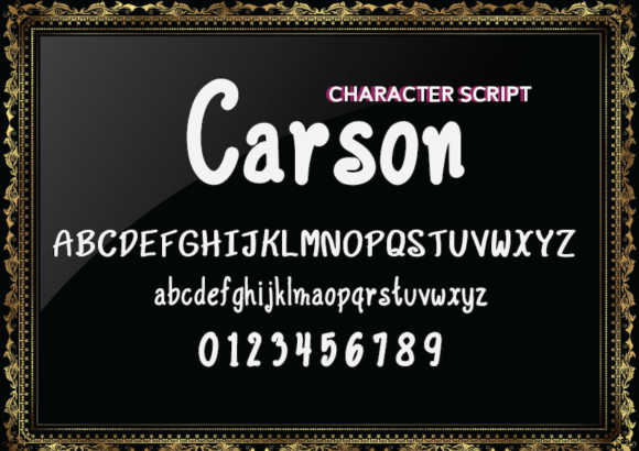 Carson Font - Preview 2