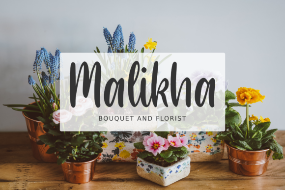 Hasley Bellion Font - Preview 2