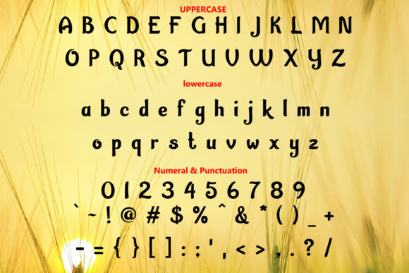 Driyorejo Font - Preview 1