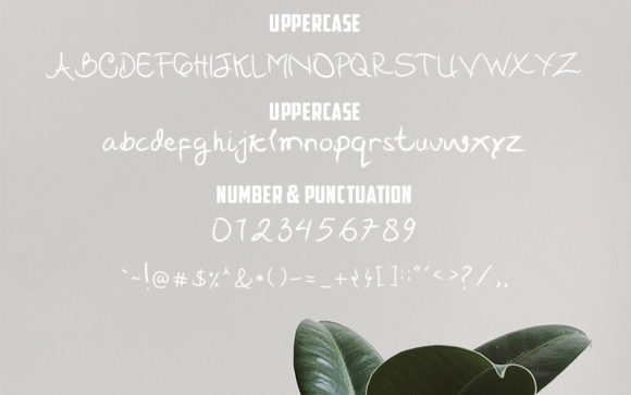 Geisya Font - Preview 2
