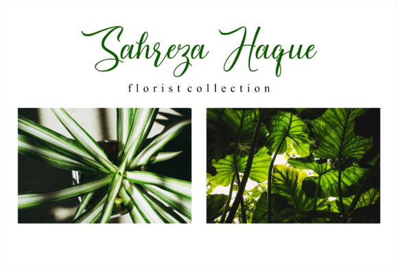 Margetha Font PNG with transparent background - Preview 4