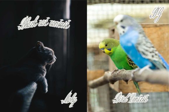 Raja Basah Font PNG with transparent background - Preview 3