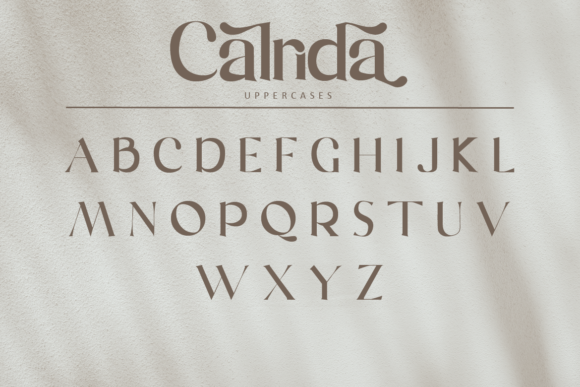 Calrida Font - Preview 5