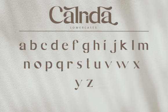 Calrida Font - Preview 6