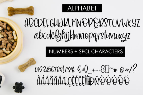 Dolores the Schnauzer Font - Preview 1