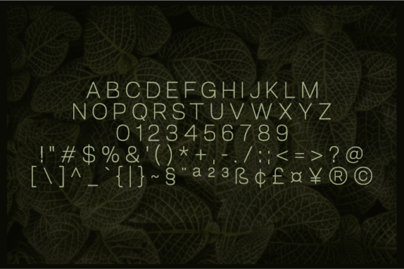 Annchi Font - Preview 1