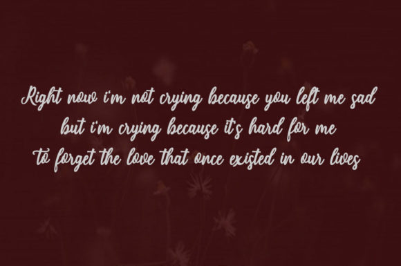 Cintiabella Font - Preview 2