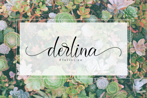 Darcella Font - Preview 2