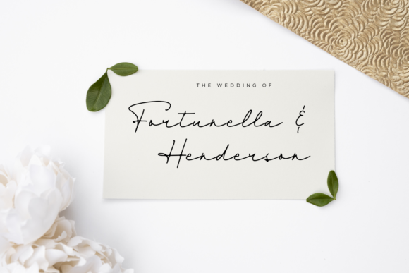 Dienilla Font - Preview 1