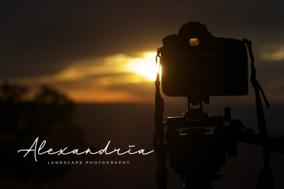 Dienilla Font - Preview 6