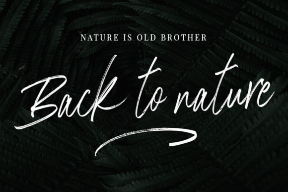 Ragilone Font PNG with transparent background - Preview 1