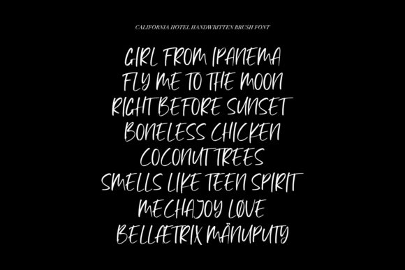 California Hotel Font - Preview 5