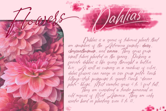 Goldstring Font - Preview 4