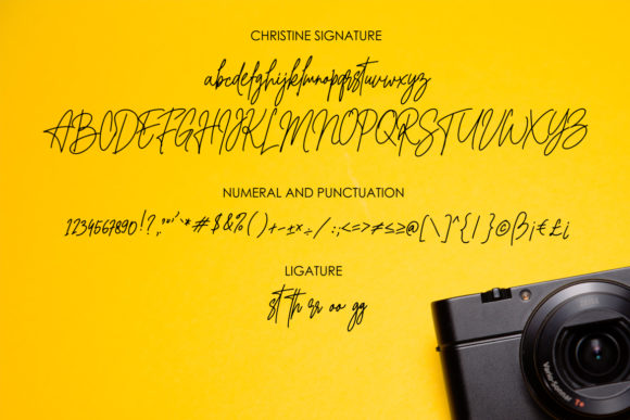 Christine Signature Font - Preview 4