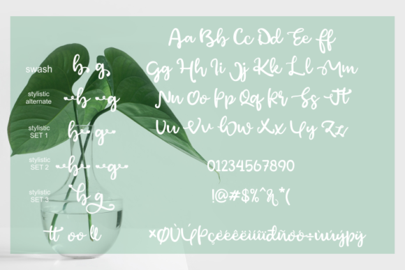 Green Afocado Font - Preview 4
