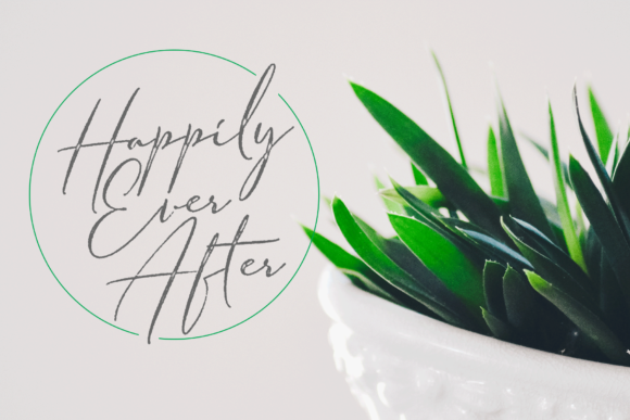 Armando Font - Preview 2