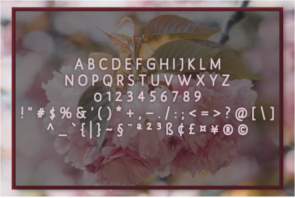 Chariel Font - Preview 1