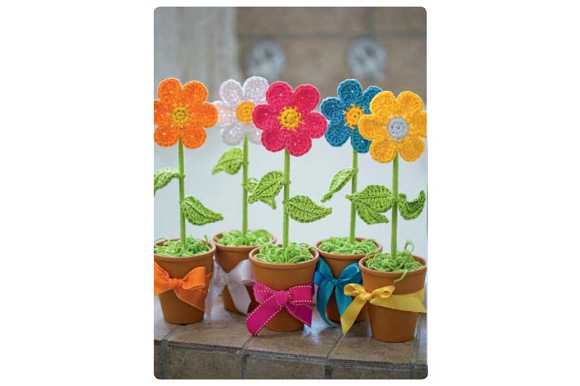 Flower in a Pot