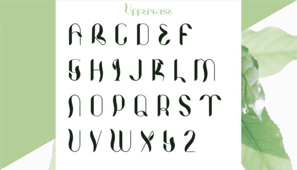 Photosynthesis Font PNG with transparent background - Preview 3