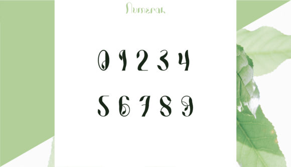 Photosynthesis Font PNG with transparent background - Preview 5