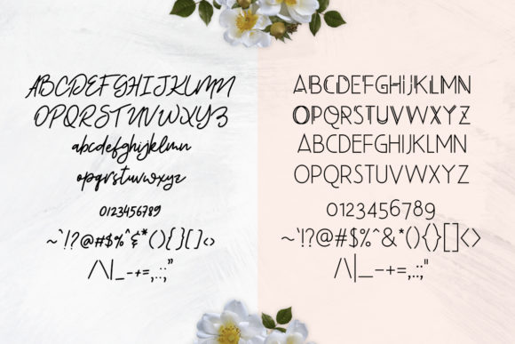 Beauty Salon Font - Preview 1