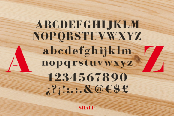 Bodoni Fragile Font - Preview 1
