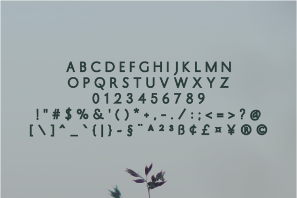 Lineque Font PNG with transparent background - Preview 1
