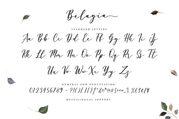 Belagia Font - Preview 4