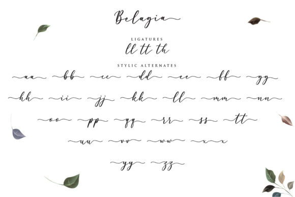 Belagia Font - Preview 5