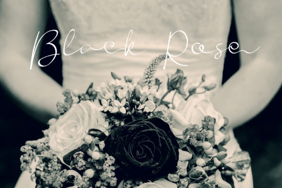 Braze Font - Preview 1