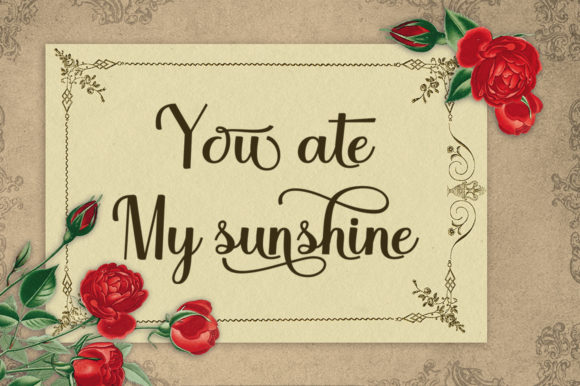 Brinita Font - Preview 5