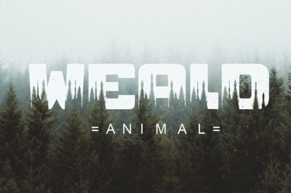 Pine Jungle Font PNG with transparent background - Preview 5