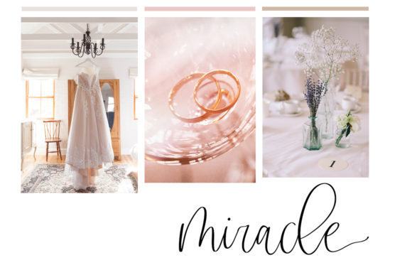 Apricot Camelia Font - Preview 2