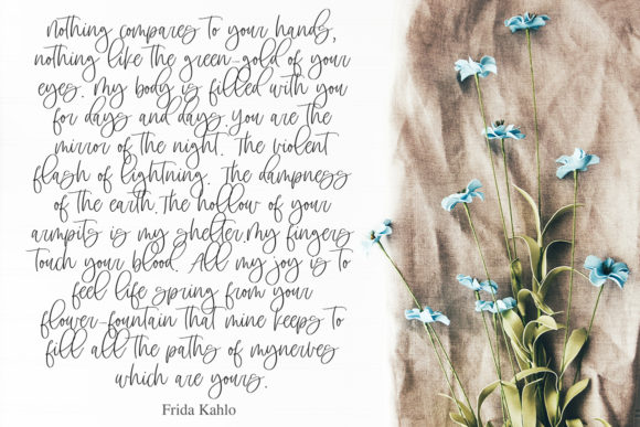 Apricot Camelia Font - Preview 6