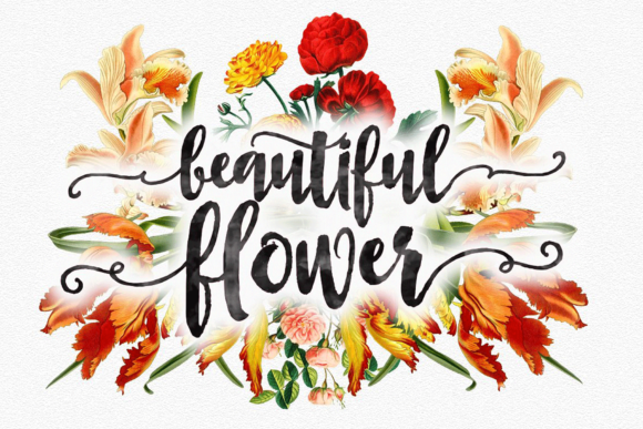 Asly Brush Font - Preview 2