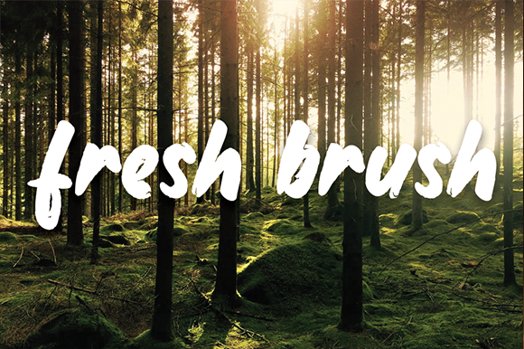 Bollias Font - Preview 3