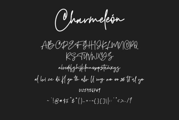 Charmeleon Font - Preview 5