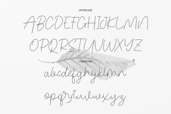 Congealed Font - Preview 1