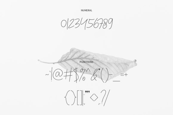 Congealed Font - Preview 2