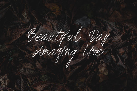 Prizertiez Font PNG with transparent background - Preview 1