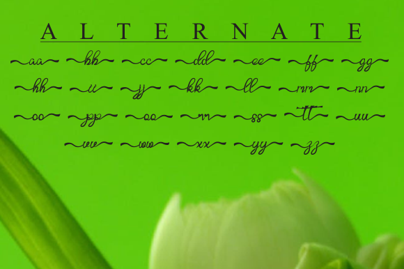 Batali Font PNG with transparent background - Preview 2