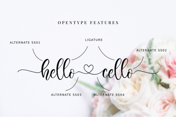 Hello Cello Font - Preview 1