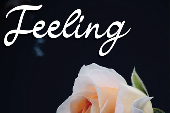 Bollgania Font PNG with transparent background - Preview 3