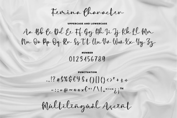 Femina Font - Preview 5