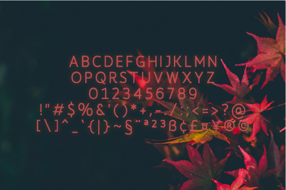 Fungche Font - Preview 1