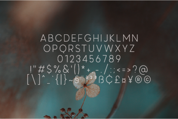 Gonzalight Font - Preview 1