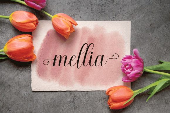 Nattalia Font PNG with transparent background - Preview 6