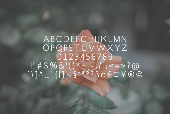 Pemane Font PNG with transparent background - Preview 1