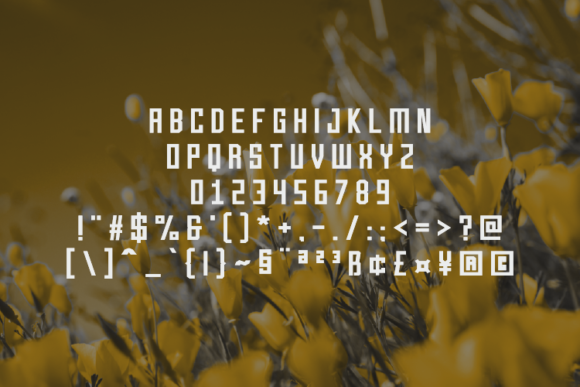 Pickerright Font PNG with transparent background - Preview 1